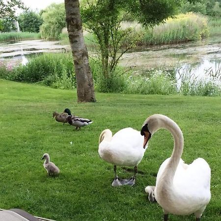 Cotswolds Lake Side Home With Luxury Spa Swallows Nest,Lower Mill Estate, Lakeside Home And Spa With A Harry Potter Cupboard Under The Stairs Somerford Keynes Dış mekan fotoğraf